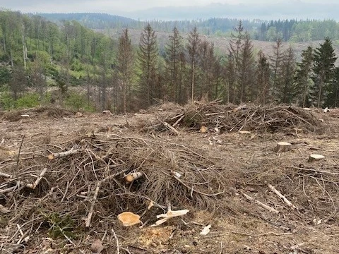 Fotospot Bad Sachsa Ballerweg Ausblick