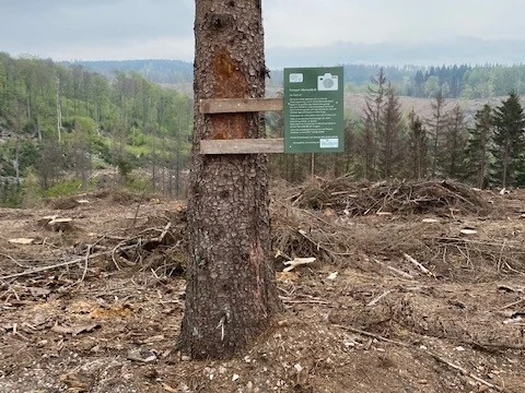 Fotospot Bad Sachsa Ballerweg