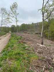 Fotospot Bad Sachsa Buchenberg Ausblick