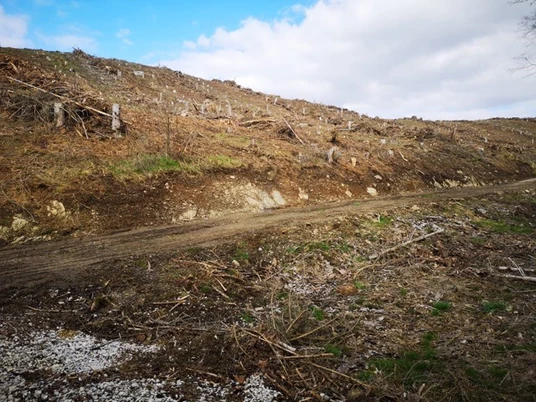 Fotospot Königshütte durchs Loch