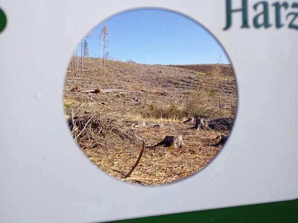 Pflanzfläche Plessenburg Fotopoint