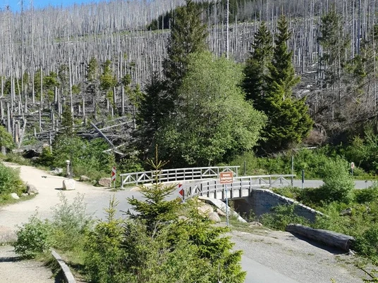 Fotospot Brockenstraße Ausblick 2023