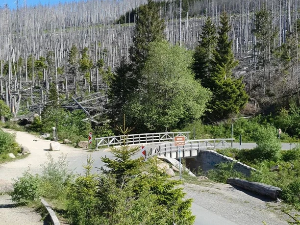 Fotospot Brockenstraße Ausblick 2023
