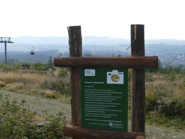 Fotospot am Rodelhaus Braunlage