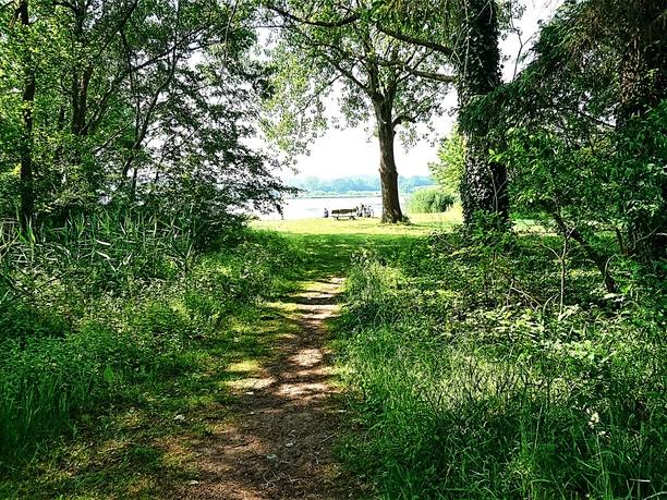 Idstedter See Katja Brückner (3).JPG