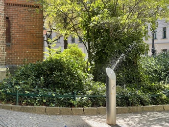 Drinking_fountain_Neustädter_Markt.jpg