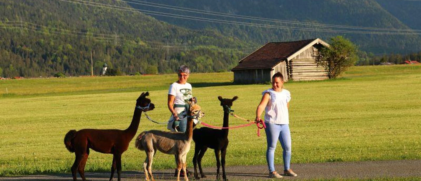Flauschiger Tag bei Wallpakas (Wallgau)