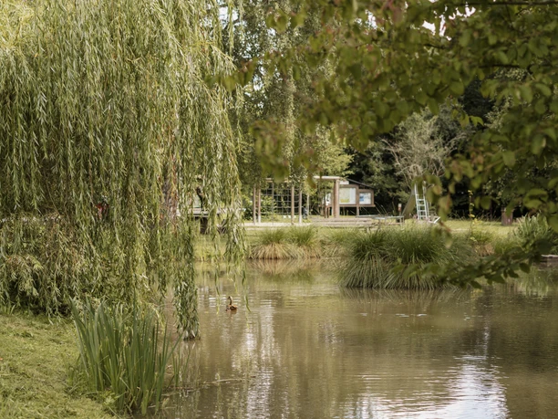 Teich von der Spicke