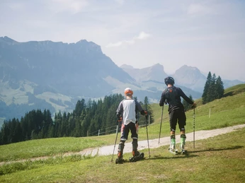 Grasskifahren Marbachegg