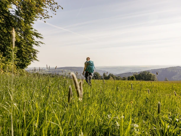 Unterwegs auf dem Kammweg Erzgebirge-Vogtland