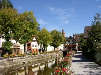 Oppenauer Bachanlage