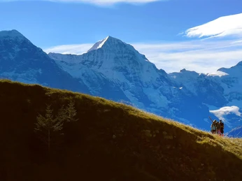 swisslocalguides-boenigen-gruppe-unterwegs-bergkamm-vor-eiger-moench-jungfrau.jpg