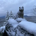 Katzstein Schnee bedeckte Katzenskulptur auf Felsen vor verschneiter Waldaussicht im Hintergrund.Snow-covered cat sculpture on rocks in front of a snowy forest view in the background.Zasněžená socha kočky na skalách před zasněženým lesem v pozadí.Ośnieżona rzeźba kota na skałach na tle zaśnieżonego lasu.Beeldhouwwerk van een besneeuwde kat op rotsen voor een besneeuwd boslandschap op de achtergrond.Scultura di gatto innevato su rocce davanti a una foresta innevata sullo sfondo.