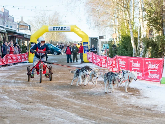 Schlittenhunderennen-Pullman-City-Harz-Start