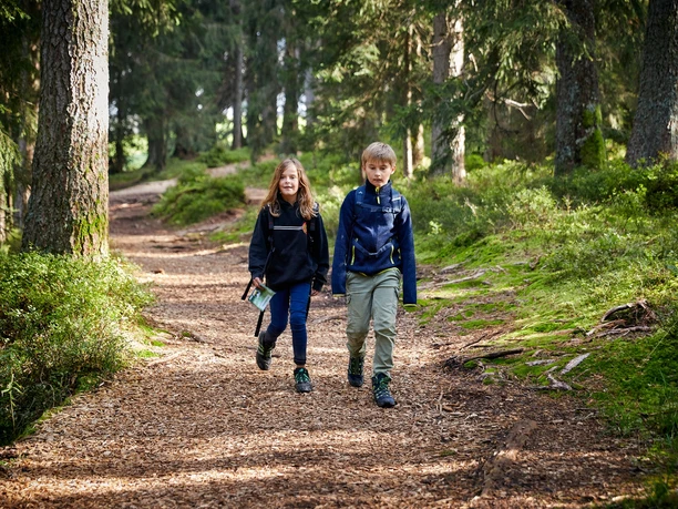 Moor-Rundweg in Sörenberg