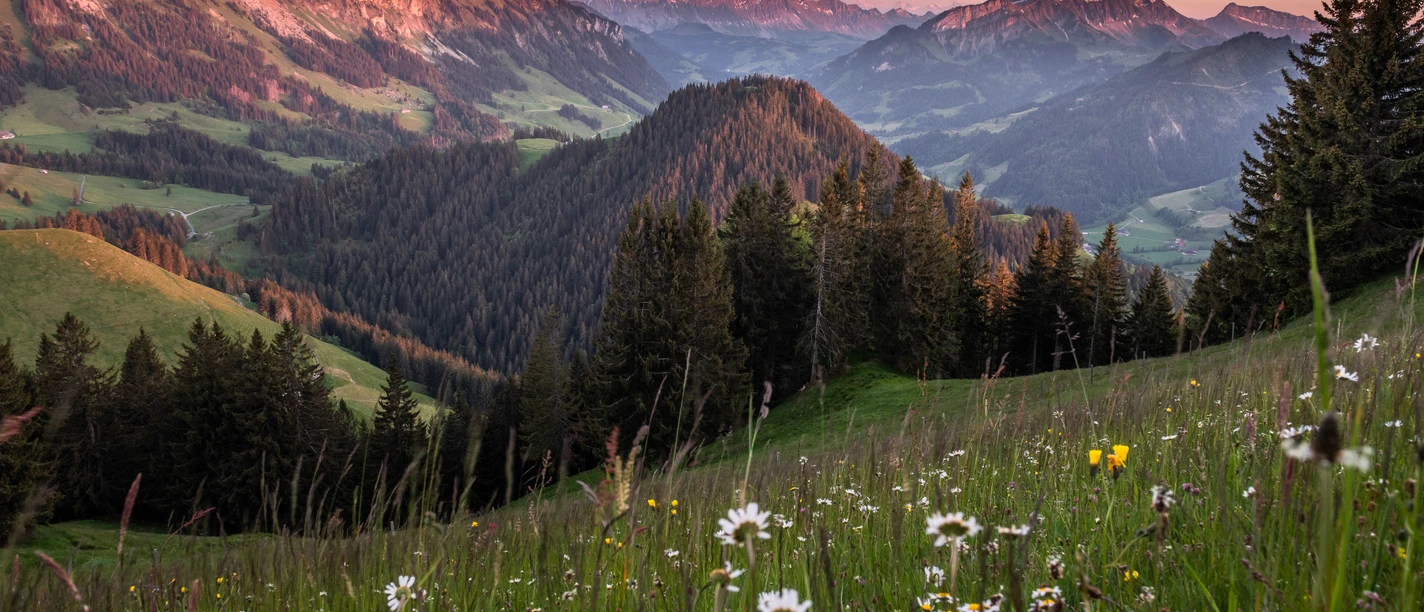 © UNESCO Biosphäre Entlebuch/Martin Mägli