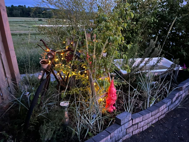 Bild Mellys Cafe und Store.jpg