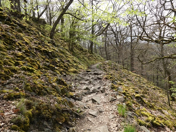 Lindenberg_Fruehling_UE_Blockhalde