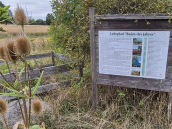 Lehrpfad "Baum des Jahres"