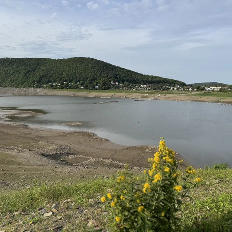 Aussicht auf die Bringhäuser Brücke im Edersee