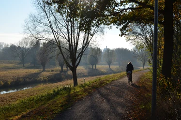 2 Radfahrer Aue.jpg Zwei Radfahrer unterwegs auf einem schattigen Waldweg bei Sonnenuntergang, umgeben von Herbstlandschaft.