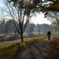 2 Radfahrer Aue.jpg Zwei Radfahrer unterwegs auf einem schattigen Waldweg bei Sonnenuntergang, umgeben von Herbstlandschaft.
