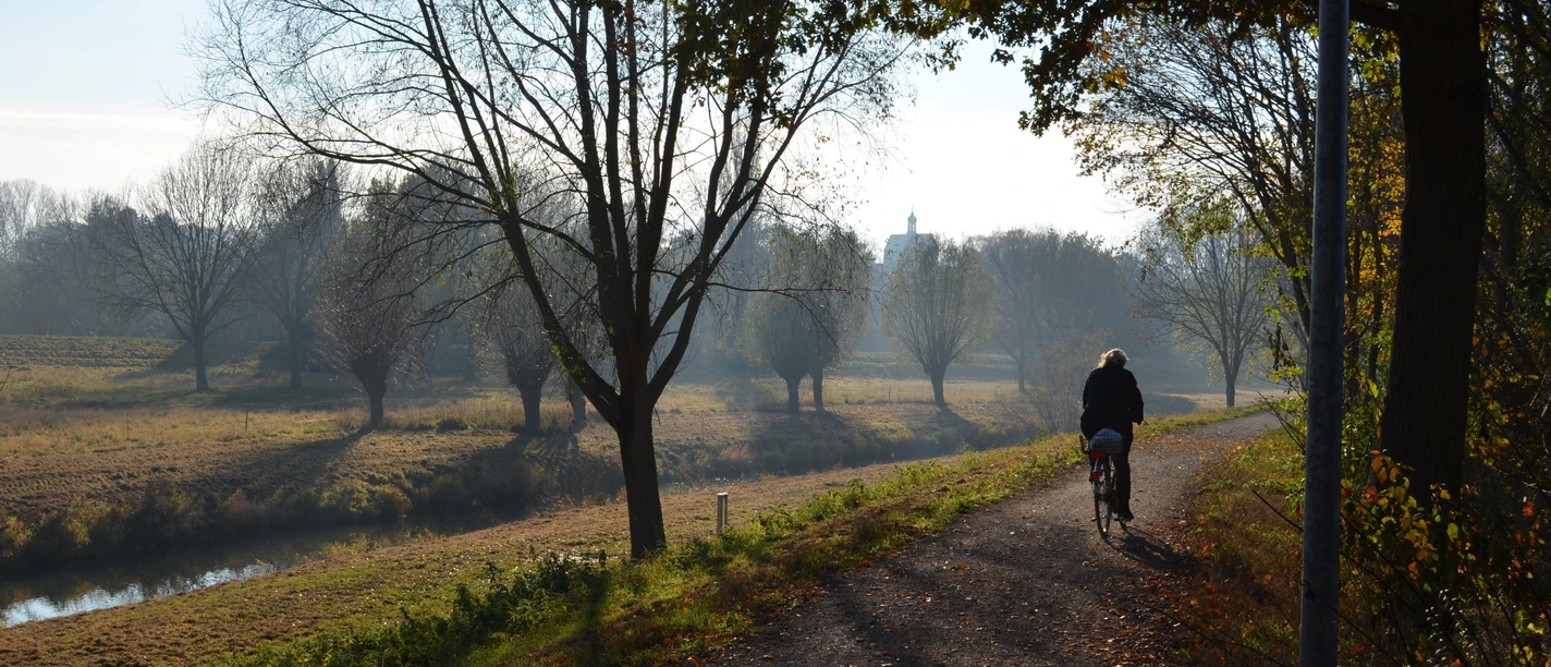 2 Radfahrer Aue.jpg Zwei Radfahrer unterwegs auf einem schattigen Waldweg bei Sonnenuntergang, umgeben von Herbstlandschaft.
