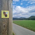 Wegweiser am Wildbienenpfad Wegweiser am Wildbienenpfad