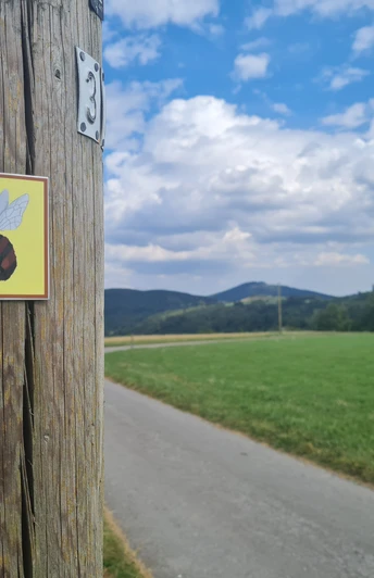 Wegweiser am Wildbienenpfad Wegweiser am Wildbienenpfad