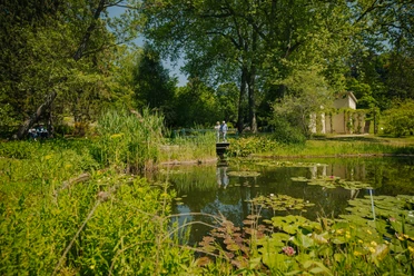 Botanischer Garten Potsdam Teich im Botanischen Garten Potsdam