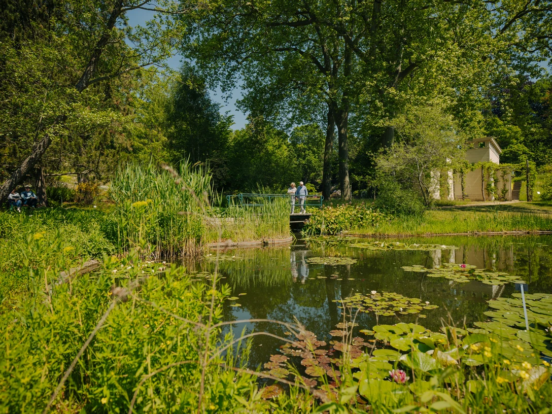 Botanischer Garten Potsdam