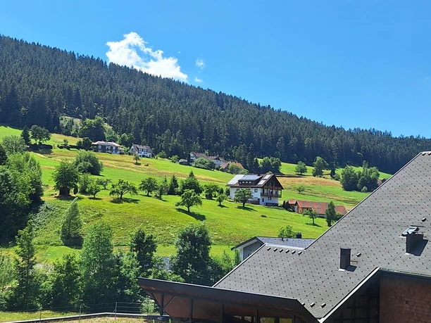 Aussicht vom Balkon
