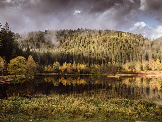 Sankenbachsee im Herbst