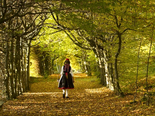 Rotkäppchen im Wald
