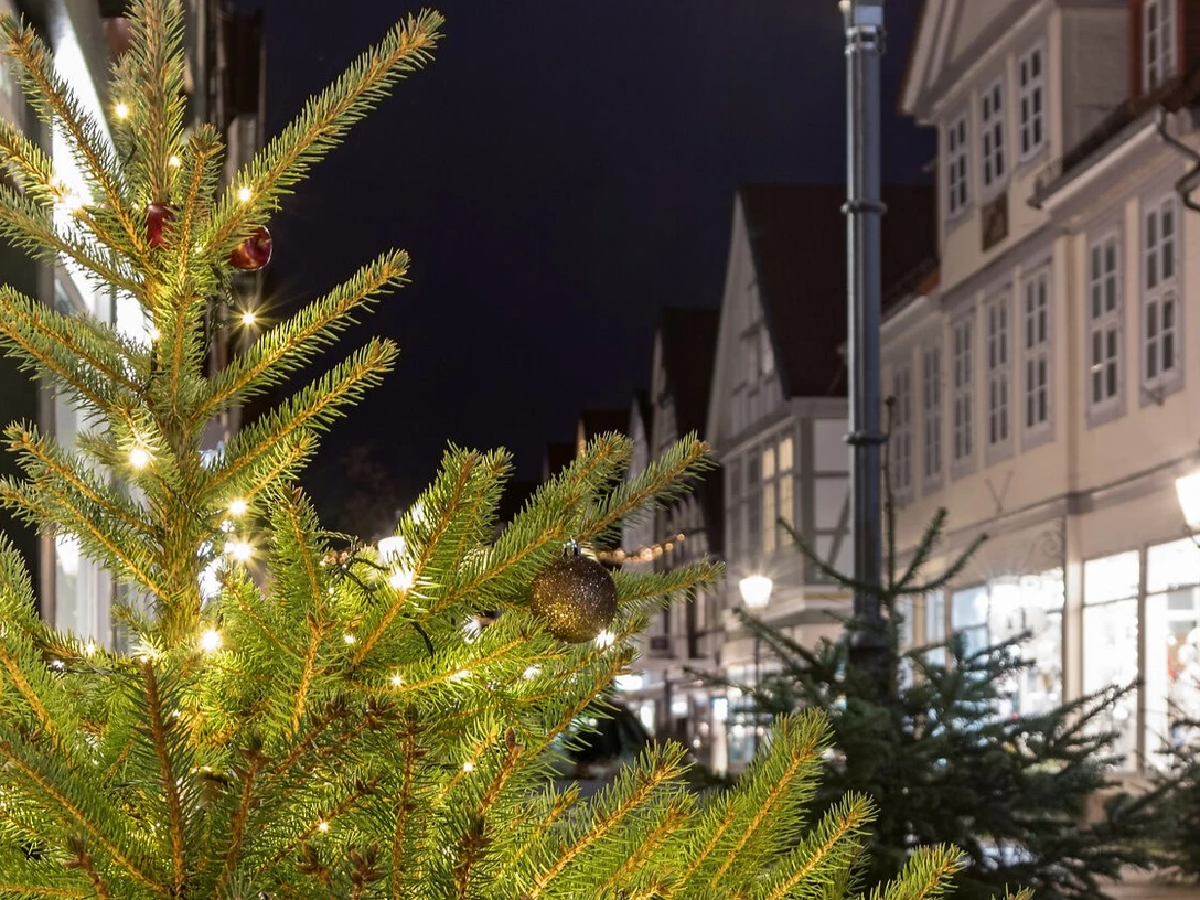 Weihnachtbäume in Celle