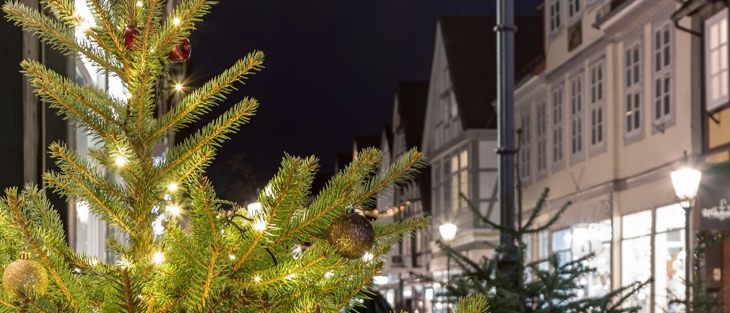 Weihnachtbäume in Celle