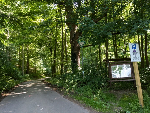 Unterer Parkplatz an den Teichen, Einstieg Blackberry Trails Schattiger Waldweg mit Parkplatzschild und Infotafel am Zugang zu Wanderwegen bei Einbeck.
