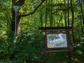 Unterer Parkplatz an den Teichen, Einstieg Blackberry Trails Holztafel mit Wanderkarte im schattigen Wald, daneben ein Naturschutzgebietsschild mit Eulensymbol.