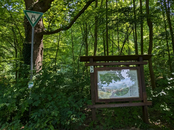 Unterer Parkplatz an den Teichen, Einstieg Blackberry Trails Holztafel mit Wanderkarte im schattigen Wald, daneben ein Naturschutzgebietsschild mit Eulensymbol.