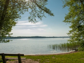Blick auf Ratzeburger See von der Himmelswiese aus Blick auf den Ratzeburger See mit grünem Ufer und Bänken unter Bäumen im Vordergrund.