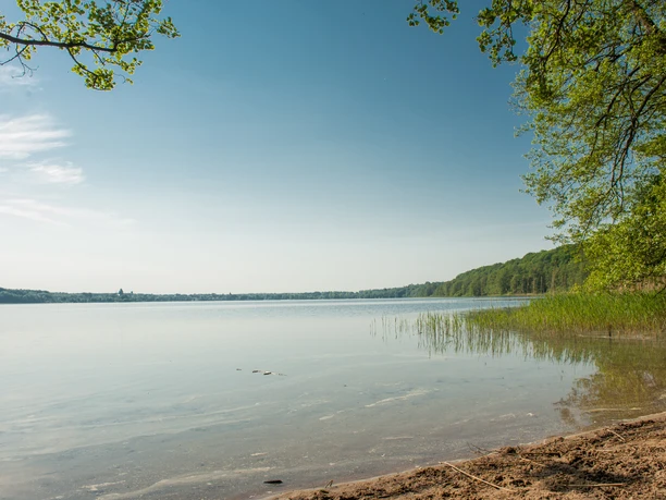 Himmelswiese Ratzeburger See Calm lakeshore with clear water, sandy edge and green trees under a bright blue sky