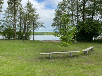 Badestelle Buchholz mit Bänken Eine große Wiese mit Bänken und Bäumen, im Hintergrund ein ruhiger See und bewölkter Himmel.