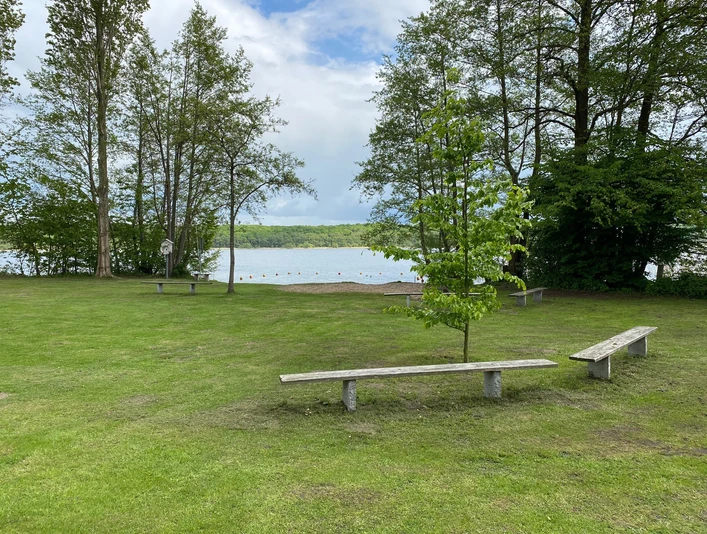Badestelle Buchholz mit Bänken Eine große Wiese mit Bänken und Bäumen, im Hintergrund ein ruhiger See und bewölkter Himmel.