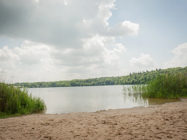Badestelle Rolandseck Sandstrand an einem ruhigen See unter bewölktem Himmel. Hohe Gräser säumen das Ufer.