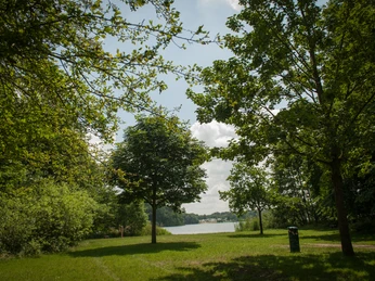 Liegewiese am Rolandseck Eine grüne Wiese mit Bäumen bietet Blick auf einen ruhigen See. Wolken ziehen über den blauen Himmel.