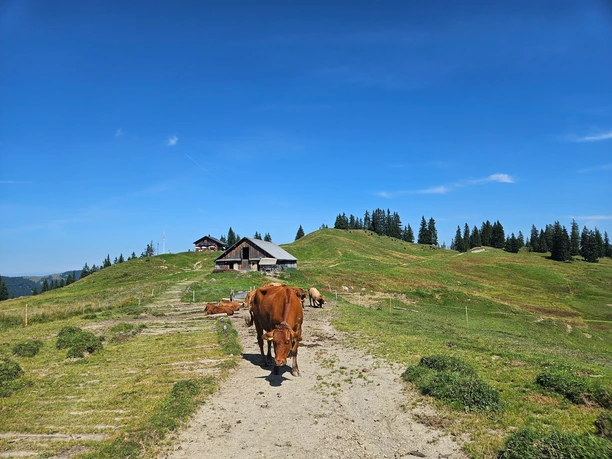 Alp Furggelen