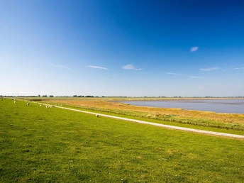 Am Deich entlang zum Petershörner Siel