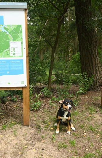 Infotafel am Start der Dwergter Hunderunde