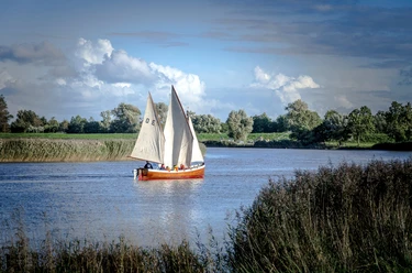 Kutter-bei-die-Fische Kleines Segelboot mit weißen Segeln gleitet auf einem Fluss an grünem Ufer und Schilf vorbei.