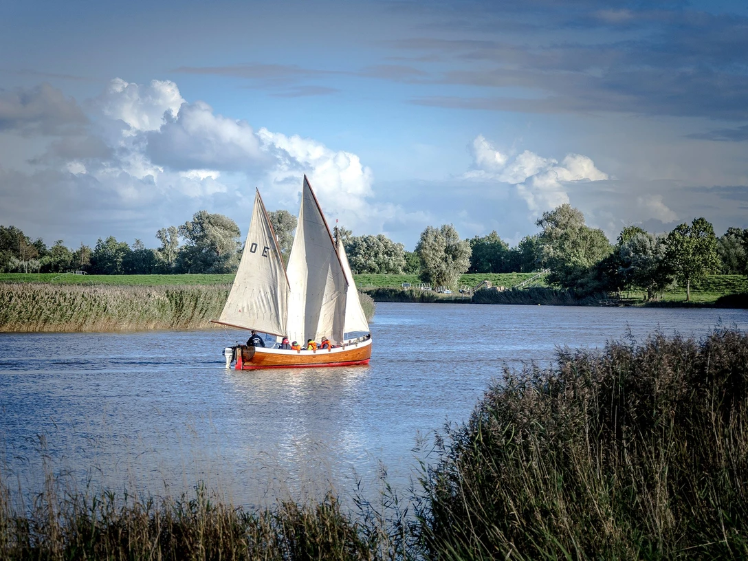 Kutter-bei-die-Fische Kleines Segelboot mit weißen Segeln gleitet auf einem Fluss an grünem Ufer und Schilf vorbei.